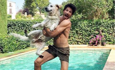 Velencoso de Kendall Jenner: 