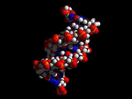 El dolor crónico podría cambiar el ADN del sistema inmunológico