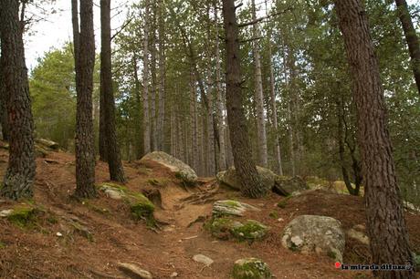 UNA JORNADA EN LA PEDRIZA