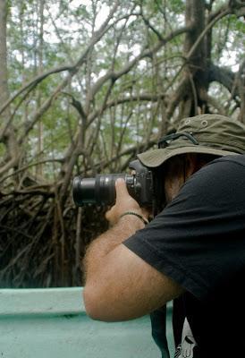 Mira hacia arriba y verás (los manglares más altos del mundo)
