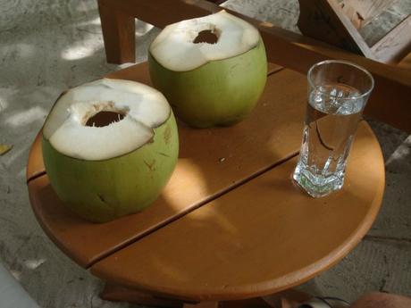 Luna de miel: Destino… Maldivas Bebidas Maldivas