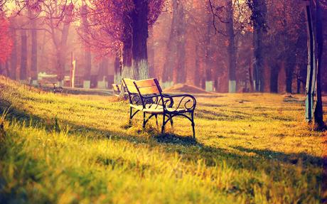 autumn_landscape_bench_20131016_1732062028