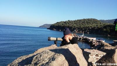 325.    Ocho claves para entender la crisis actual de refugiados