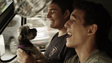 30 películas a rescatar del 2015 según los colaboradores de Críticas en 8mm