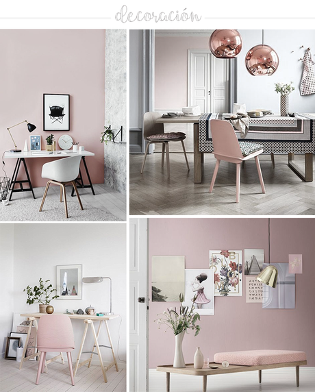  photo rosa-curazo-deco1.png