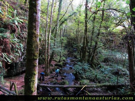 Ruta de los Molinos del Rio Profundo