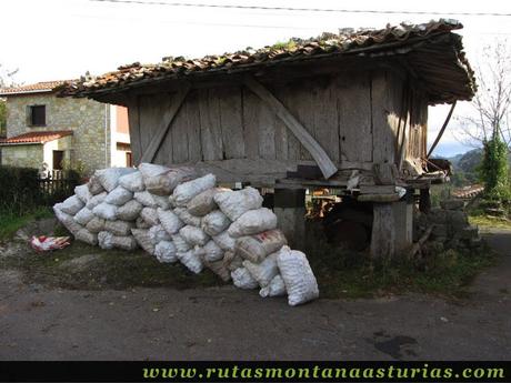 Ruta de los Molinos del Rio Profundo: Manzanas bajo hórreo en Buslaz.