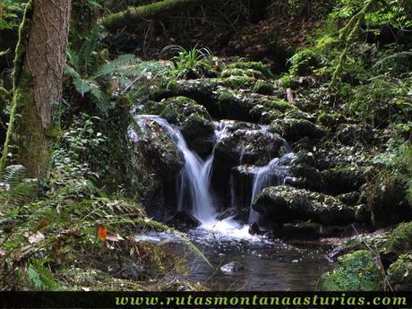 Ruta de los Molinos del Rio Profundo: Cascada de agua