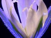 naturaleza sabiduria