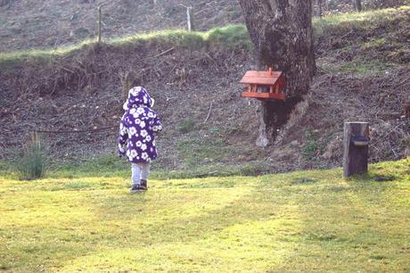 Fin de semana en Ogassa