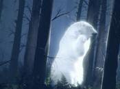 nuestros sueños hubiese publicidad marcas?