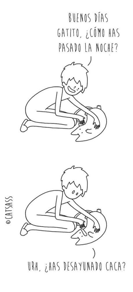 14 viñetas que ponen de manifiesto el verdadero pensamiento de los Gatos 9
