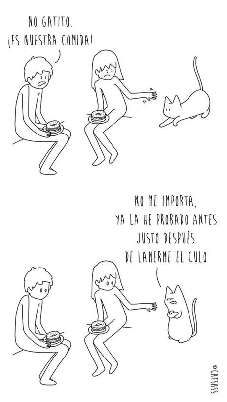 14 viñetas que ponen de manifiesto el verdadero pensamiento de los Gatos 12
