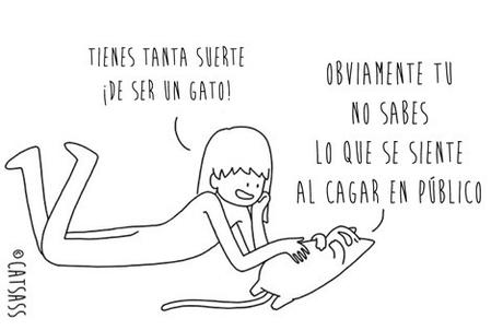 14 viñetas que ponen de manifiesto el verdadero pensamiento de los Gatos 14