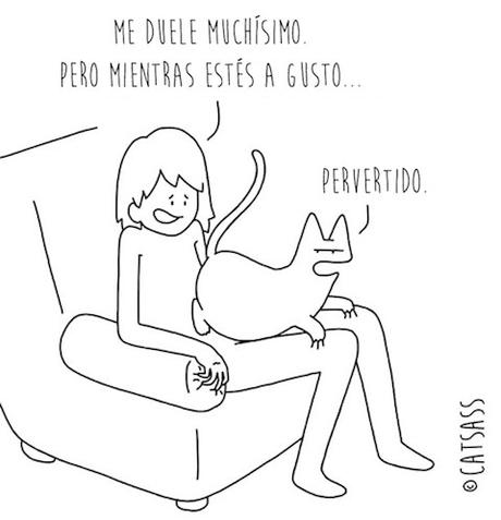 14 viñetas que ponen de manifiesto el verdadero pensamiento de los Gatos 1