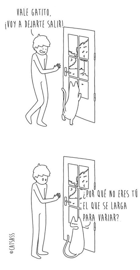 14 viñetas que ponen de manifiesto el verdadero pensamiento de los Gatos 7