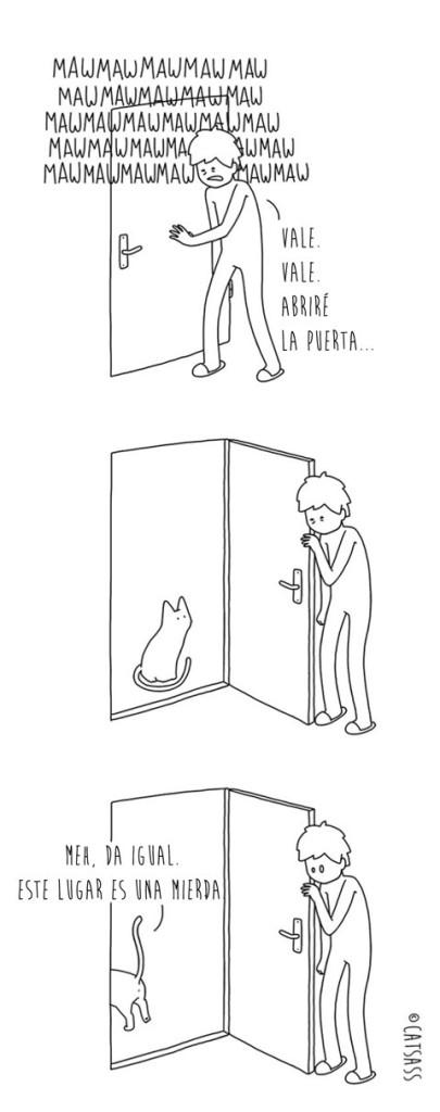 14 viñetas que ponen de manifiesto el verdadero pensamiento de los Gatos 4