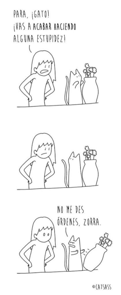 14 viñetas que ponen de manifiesto el verdadero pensamiento de los Gatos 2