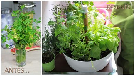 Ya iba siendo hora de poner orden en la cocina