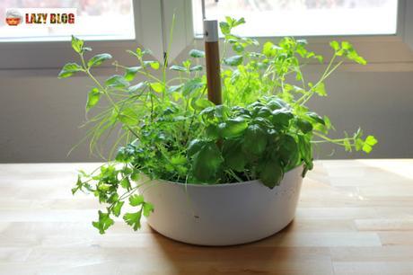 Ya iba siendo hora de poner orden en la cocina