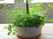 siendo hora poner orden cocina