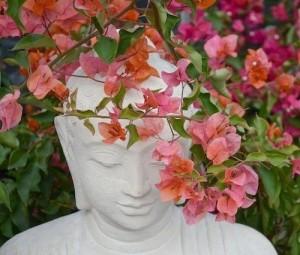 buda-flores
