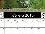 Calendario AeE-GEV. Febrero 2016