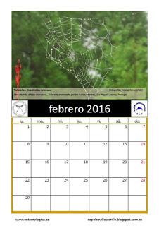 Calendario AeE-GEV. Febrero 2016