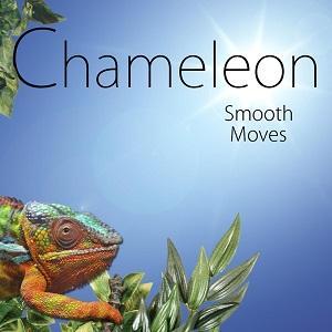 Chameleon publica Smooth Moves