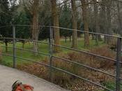 Vestido birds piedra, papel tijera