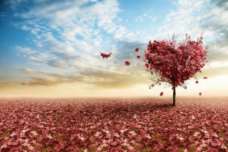 Amar Incondicionalmente Amar Incondicionalmente