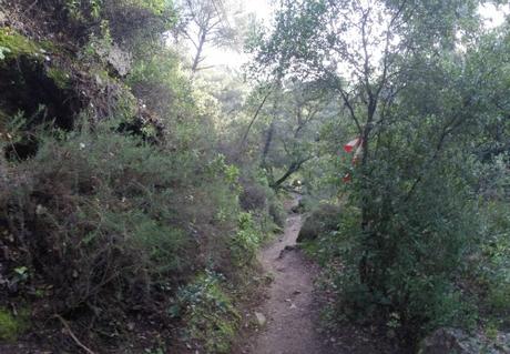 Éxito en la Maratón Alpina: Alpargata Trail 2016.