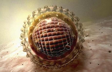 El virus de la hepatitis C, fármaco contra otros virus