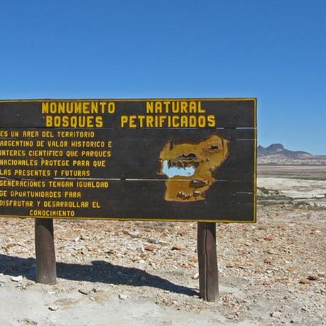 Los 10 artículos de Argentina Live más visitados durante el mes de Enero de 2016.