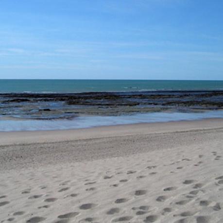 Los 10 artículos de Argentina Live más visitados durante el mes de Enero de 2016.