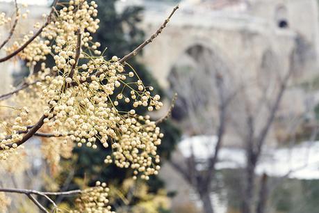 YELLOW JUMPER IN TOLEDO