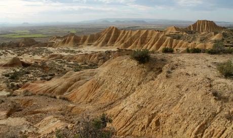 bardenasreales8