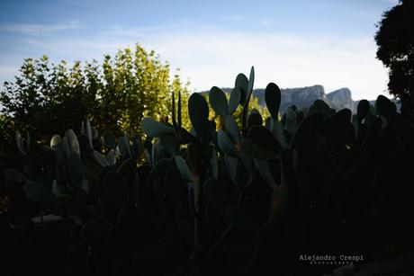 AUTUMN WEDDING IN MALLORCA