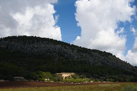 AUTUMN WEDDING IN MALLORCA