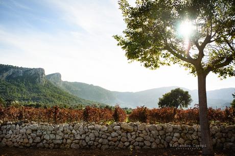 AUTUMN WEDDING IN MALLORCA