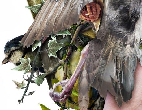 Fotomontajes para charlas III.