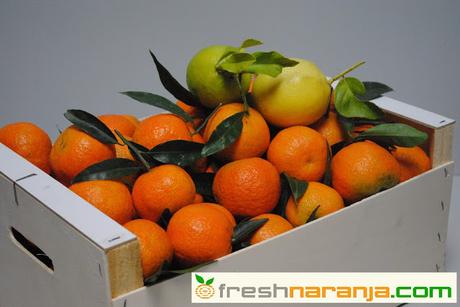 FRESHNARANJA