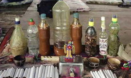 Ayahuasca fotos planta ayahuasca