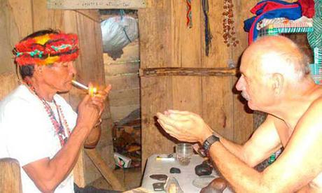 Ayahuasca fotos planta ayahuasca