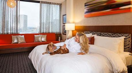 hoteles-que-admiten-perros-en-Madrid2