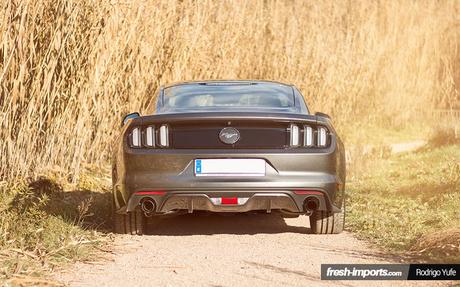 Probamos el Ford Mustang 2015 2.3 Ecoboost. ¿Acierto o error?