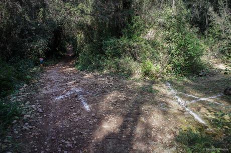 No te equivoques de camino