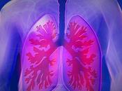 mayor consumo fibra podría mejorar función pulmonar