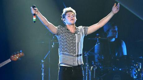 Niall Horan tiene una nueva profesión mientras no está en One Direction. ¿Cuál es?