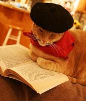 Libro de la semana #3: La casa de las Fuentes